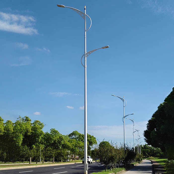 Poteau d'éclairage public à design personnalisable avec matériau en acier galvanisé à chaud pour l'extérieur