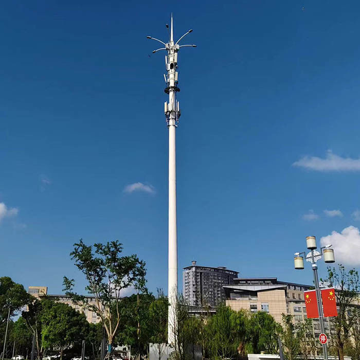 Acier galvanisé à chaud sur mesure 30m Poteaux de télécommunication avec antennes
