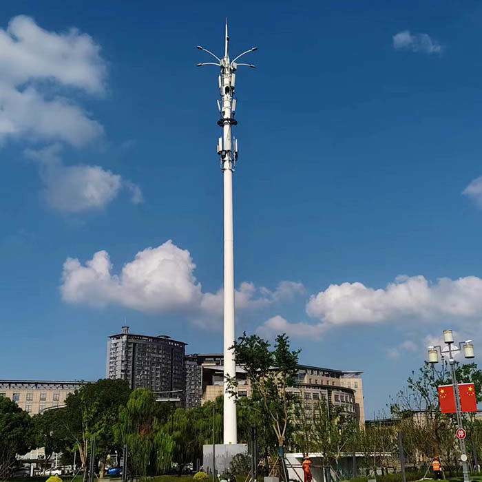 Monopoles télécoms galvanisés à chaud sur mesure avec plateforme ou antennes