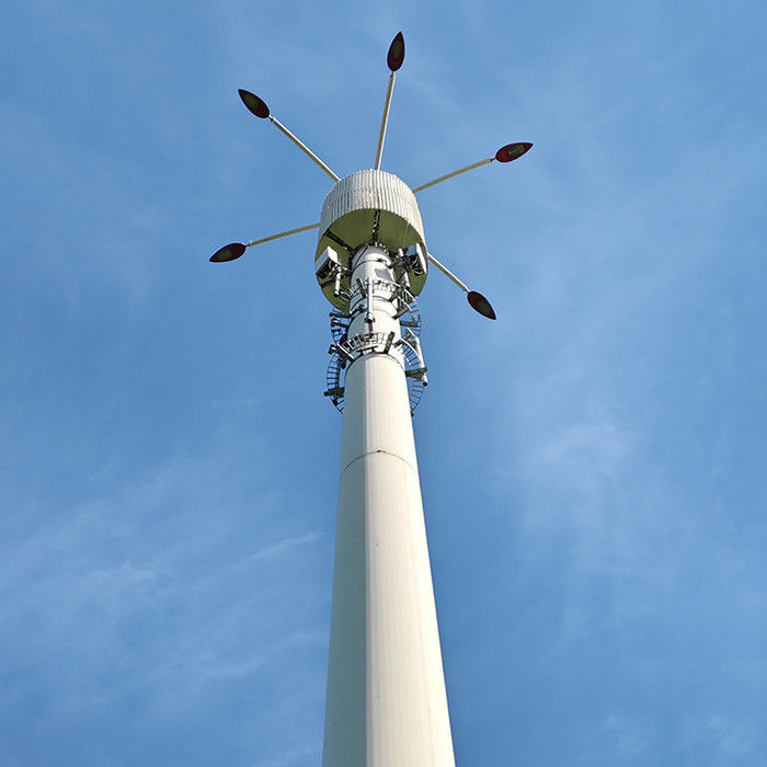 Conception personnalisable de la hauteur et du vent pour les poteaux de télécommunication avec rapport d'analyse de la structure des poteaux en acier