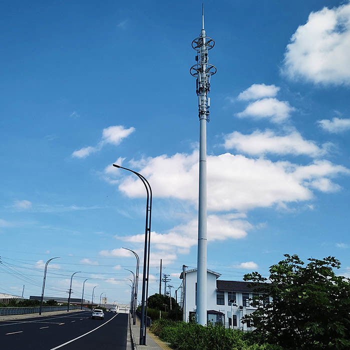 Postes de télécommunication galvanisés à chaud avec échelles et plateforme pour plaques d'acier structurel à faible alliage de haute résistance