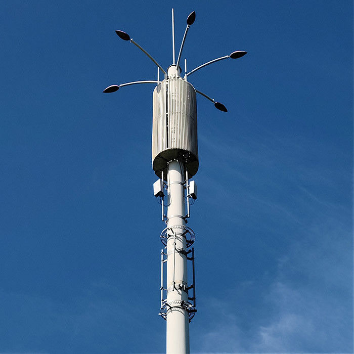 Postes de télécommunication galvanisés à chaud avec échelles et plateforme pour plaques d'acier structurel à faible alliage de haute résistance
