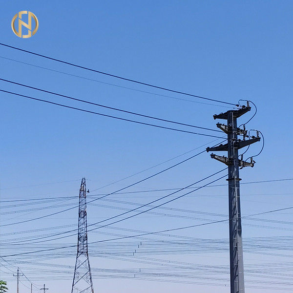 La couleur grise a galvanisé Polonais en acier octogonal 69KV NEA 50FT 55FT 60FT 65FT 70FT